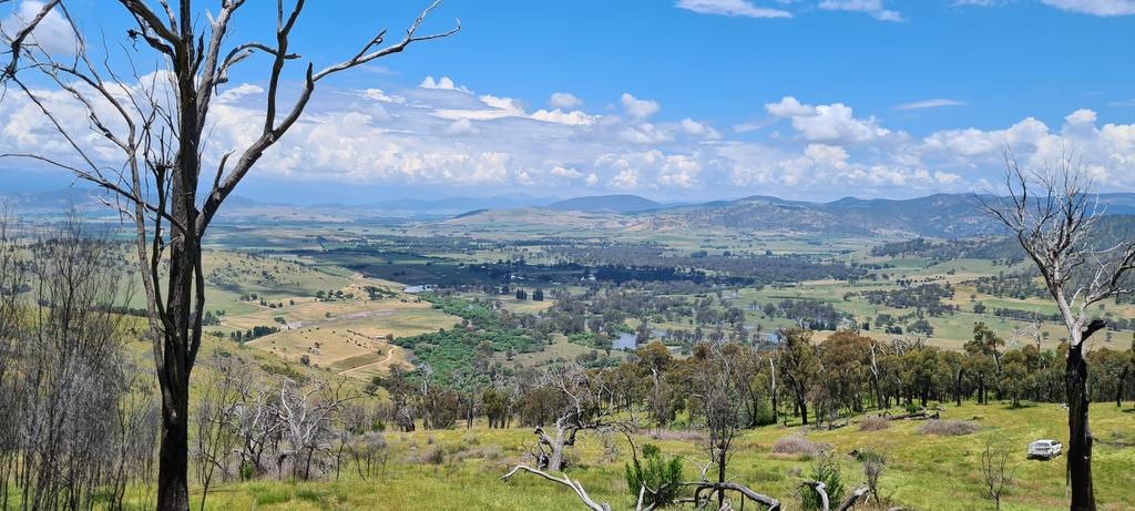 kyliedurant's tweet image. View not too shabby #uppermurray #firerecovery #slopes2summit