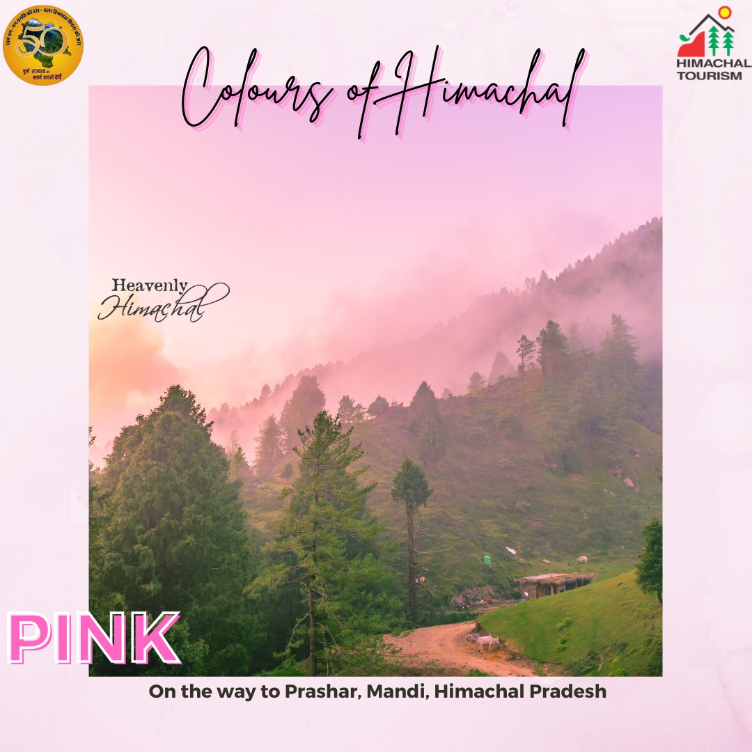 hp_tourism's tweet photo. Colours of Himachal

#Prashar #Mandi #DekhoApnaDesh #IncredibleIndia  #unforgettablehimachal #himachaltourismofficial #wednesdaythought #travel #wanderers #HP #forests #HimachalPradesh #Pink https://t.co/XNlWesazBB