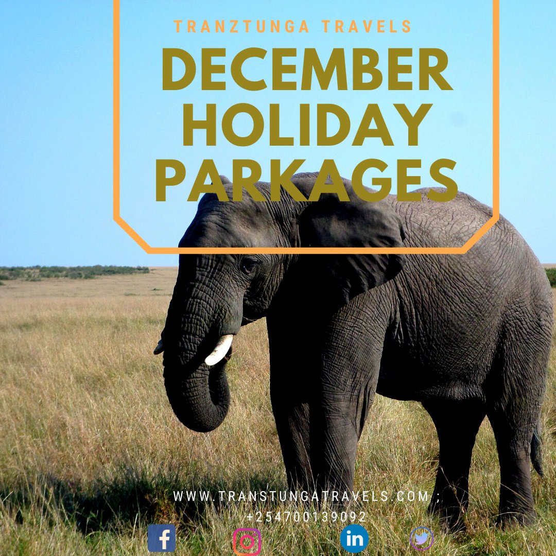 Happy New Month to all our esteemed clients.  May this month give you a reason to celebrate! Plan your Dream Get Away with us tranztungatravels.com 
#holidayseason 
#tourism 
#tembeakenya 
#Safari