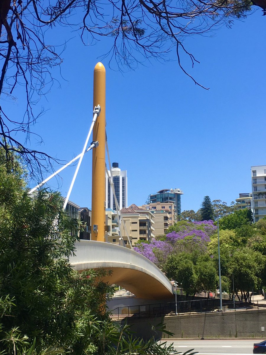 AnnieJ57309701's tweet photo. Beautiful day for a walk into the CBD, via Mount Street, to see the jacaranda trees. I think we must have missed them at their best but they still put on quite a show. 💜 #jacarandas #mountstreet #beautifulperth 💜. https://t.co/k7zDJtbPT7