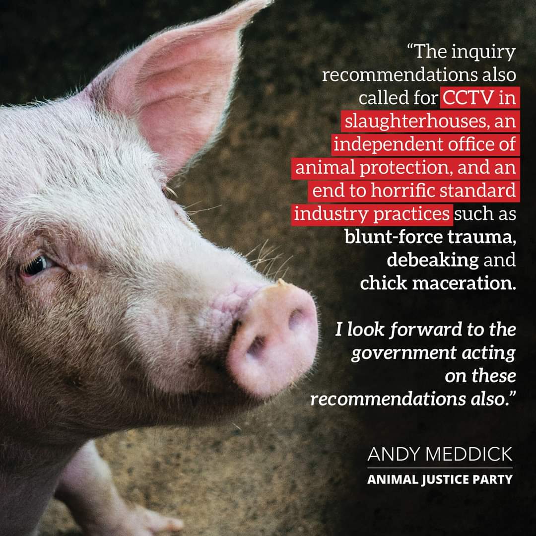 Animal Justice Party on Twitter: Animal Justice Party on Twitter: