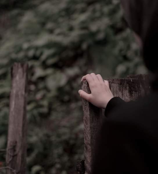 "فليتَ هوى الأحبَّةِ كانَ عدلًا
فحُمّلُ كلَّ قلبٍ ما أطاقَا"💔
  
- المُتنبّي