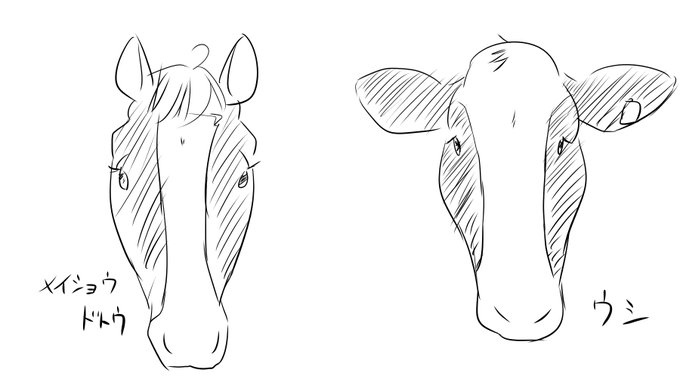 メイショウドトウとウシ 