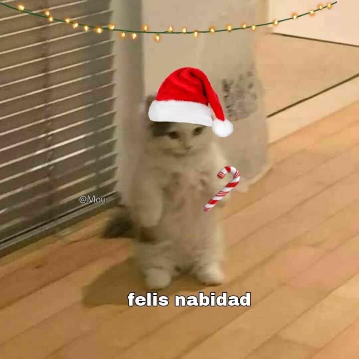 valeriahcor's tweet photo. 1 de diciembre https://t.co/lAWTx0rjYk