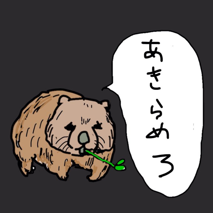 ウォンバットさんのtwitterイラスト検索結果