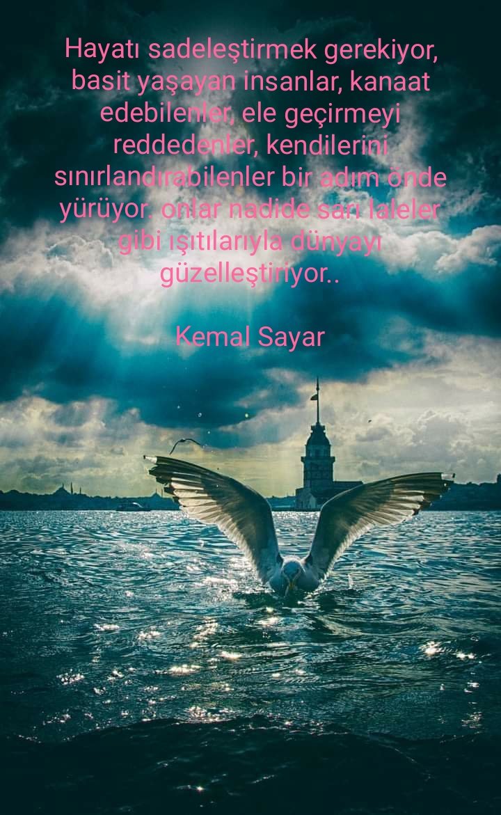 guler544's tweet photo. Hayatı sadeleştirmek gerekiyor, basit yaşayan insanlar, kanaat edebilenler, ele geçirmeyi reddedenler, kendilerini sınırlandırabilenler bir adım önde yürüyor. onlar nadide sarı laleler gibi ışıtılarıyla dünyayı güzelleştiriyor..

Kemal Sayar https://t.co/DW86gMRFpC