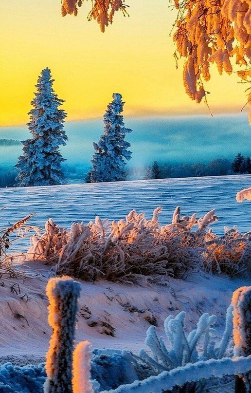 Kat06115489's tweet photo. 🎄⛄️🎄 Happy December everyone🎄⛄️🎄❄️❤️ https://t.co/gMQmWBHKt6