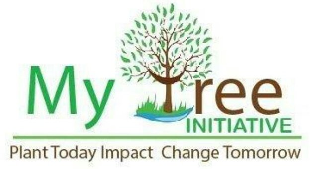 ashraf_enjer's tweet photo. As we enter the final stretch of this unique year of challenges and changes, we here @mytreeUganda 💚🌱💚🌱 wanted to take this moment to thank you for your continued support and wish you safe and happy holidays and New Year! #MyTreeInitiative #happyholidays2021 https://t.co/dPqShH5jHj