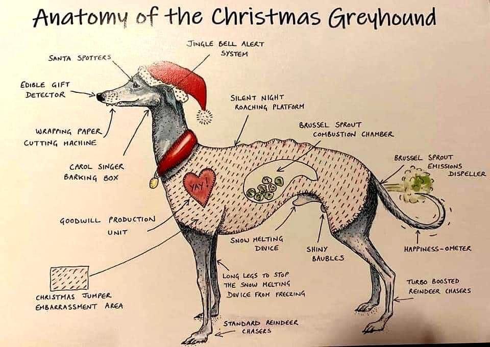 Slinky Pants & Fuzz Ball (@fly_mist) on Twitter photo 