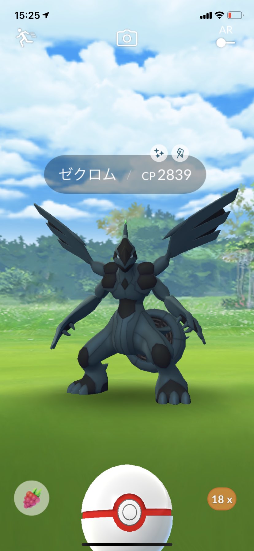 ちろる ゼクロム色違い来てくれました ポケモンgo Pokemongo 色違い ゼクロム レシラム ポケモン T Co L6jtuvvqdj Twitter