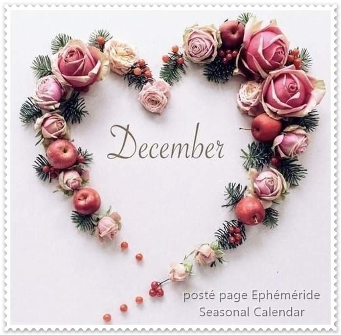Karima_Dziria's tweet photo. Bonjour , je vous souhaite un excellent mois de Décembre 🏵️
#Welcome_december 💐 https://t.co/oPY0E9jwbP