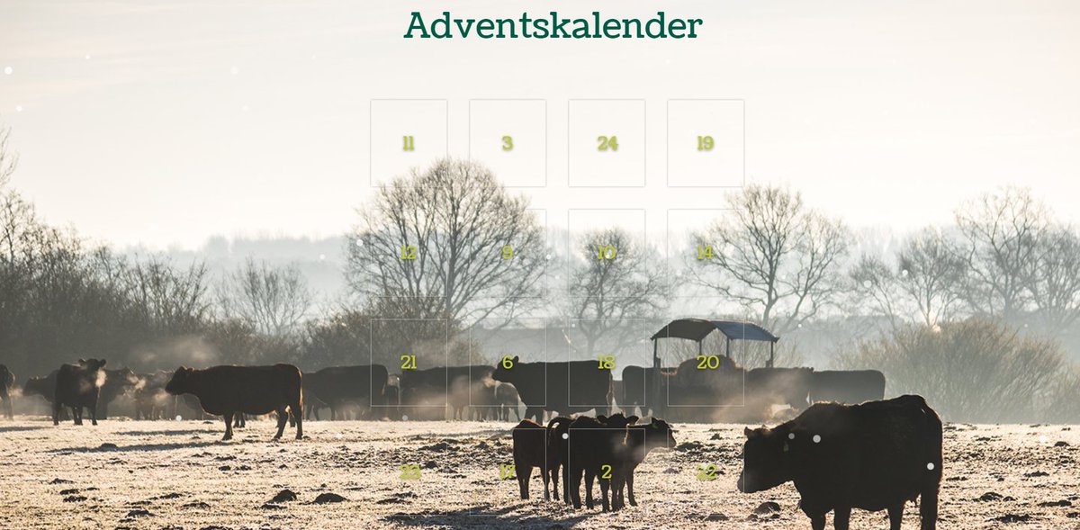 Unser Jahresrückblick in 24 Bildern und Videos - der BLE-#Adventskalender: Hinter den Türchen, ein bunter Strauß von Themen, die unsere Arbeit prägen und uns wichtig sind. Also Türchen öffnen und überraschen lassen. 
Hier geht´s zum BLE-Adventskalender: 
➡tuerchen.com/ble2021