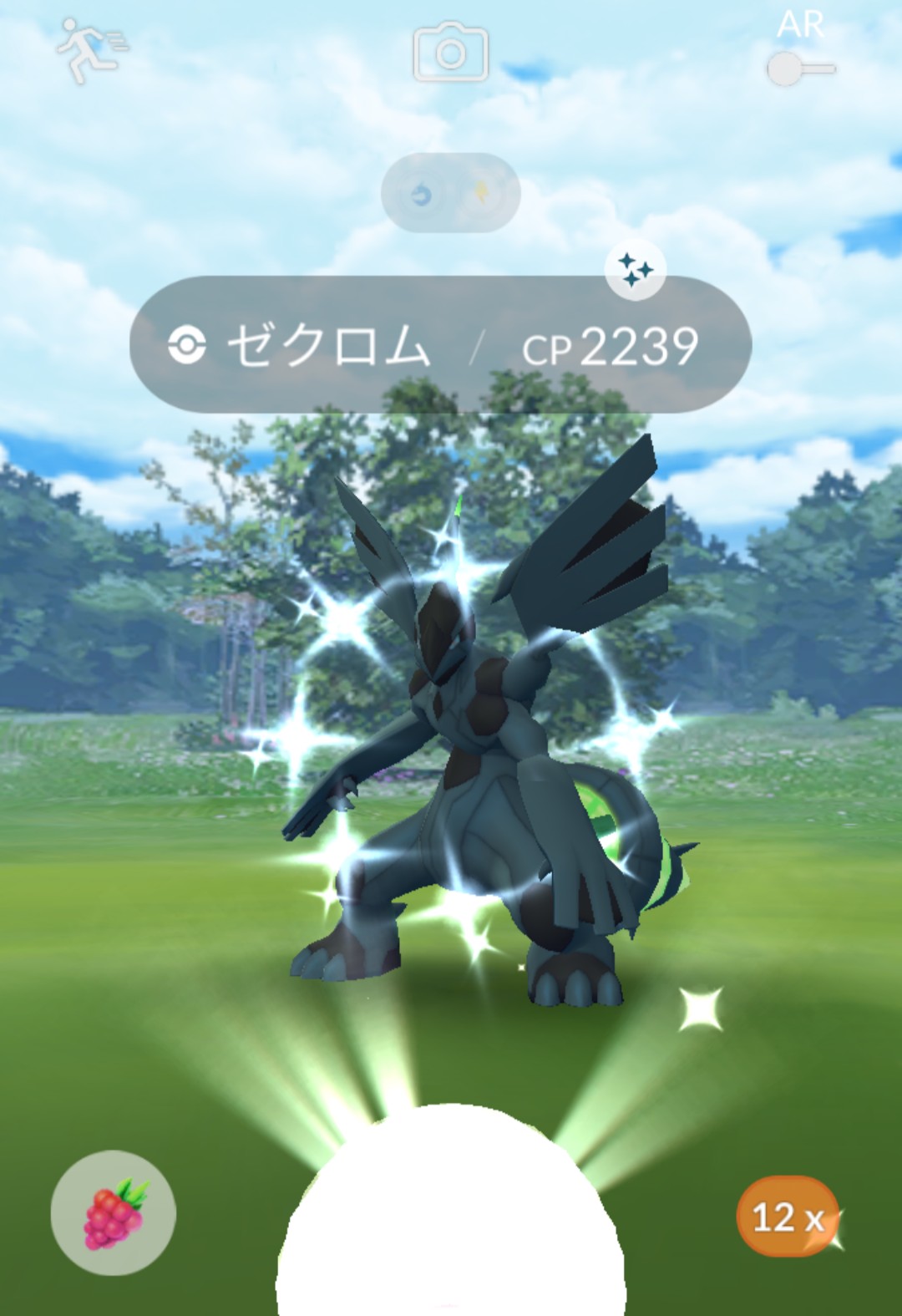 のん842 在 Twitter 上 ゼクロム色違い ポケモンgo ゼクロム色違い T Co Ubn6buiv1s Twitter