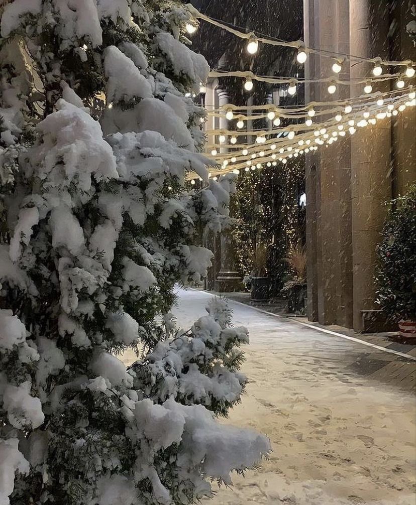 DI0RSBABY's tweet image. — hello december