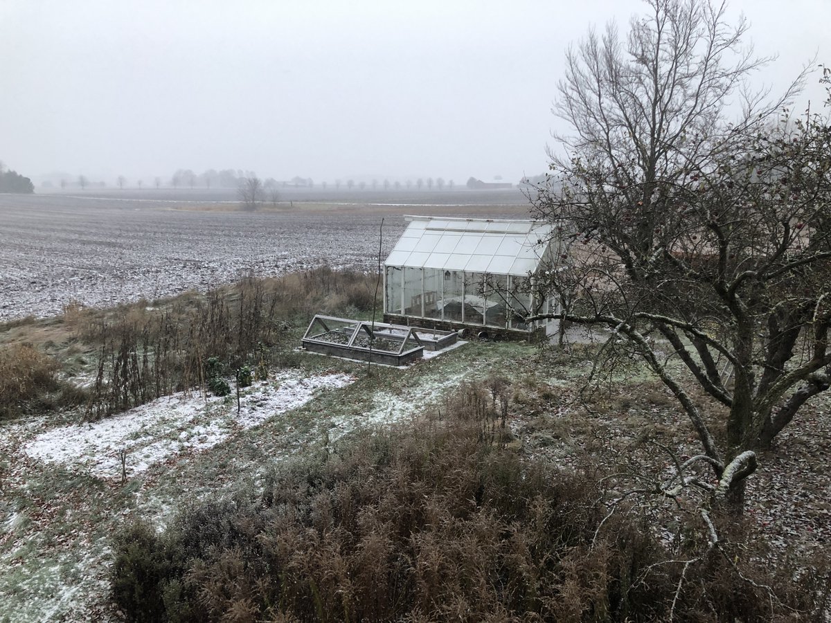 Dennis Gustafsson tweet media