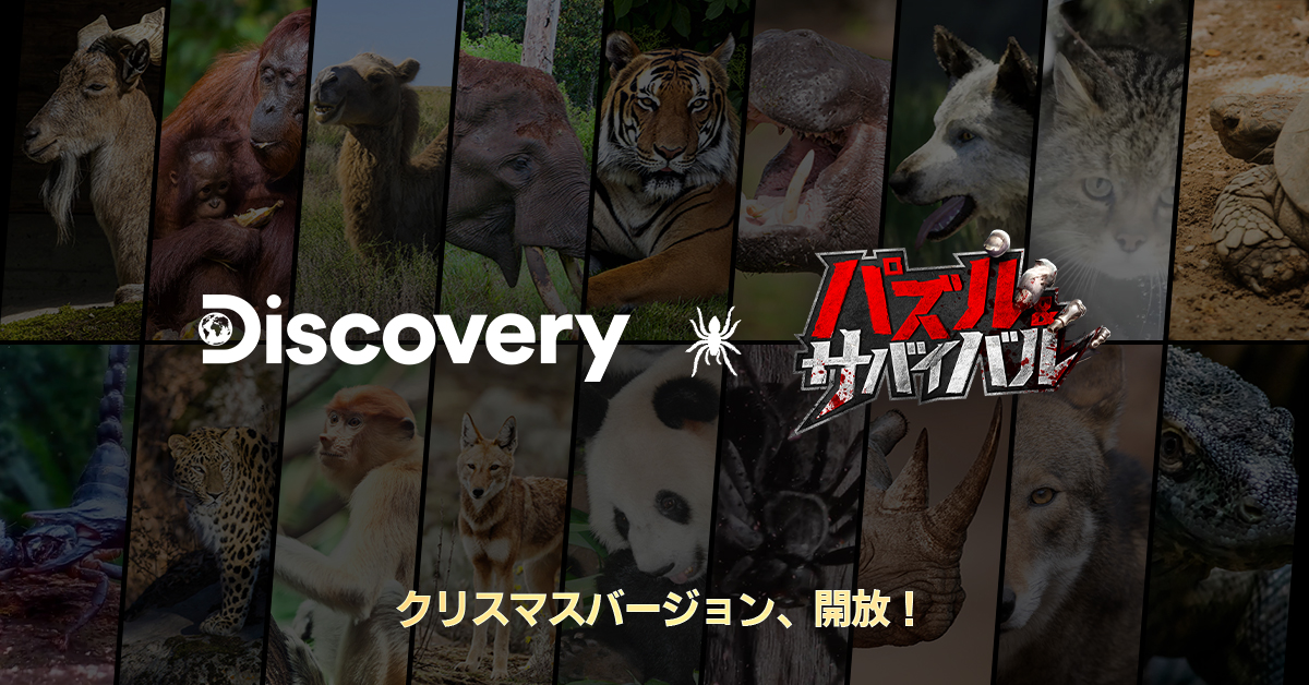 【公式】Puzzles & Survival~パズル＆サバイバル tweet media