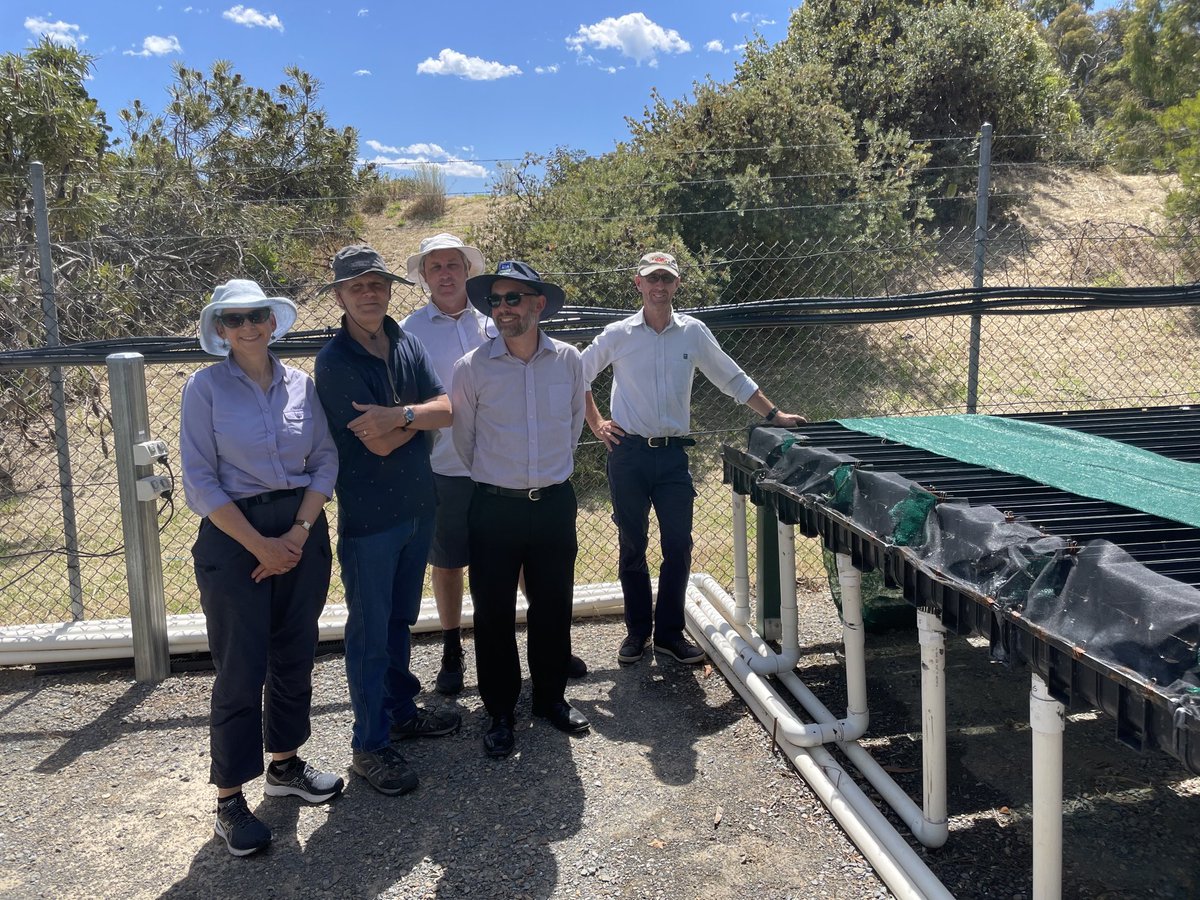 Luke Mosley tweet media