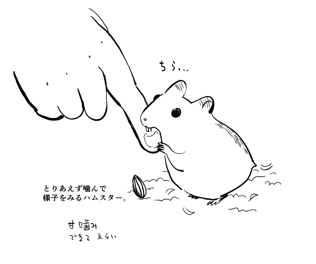 日記 