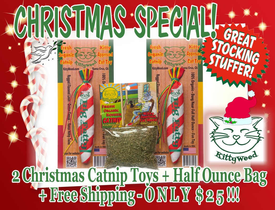 kittyweedcatnip's tweet image. ‘Tis the season for getting your kitties a special stocking stuffer with one of our handmade catnip toys!￼ Meowy Christmas! #organic #kosher #handmade #cattoys #Christmas #stockingstuffers #catlover #gifts