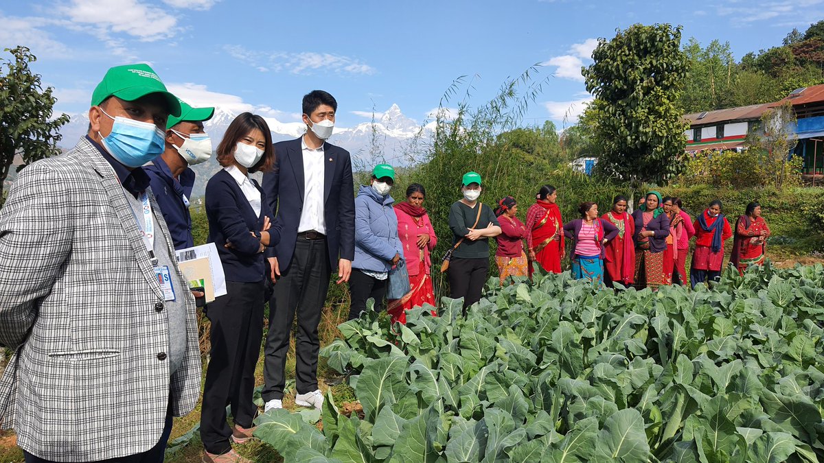 UNDPNepal's tweet photo. .@UNDP &amp; Korean Emb team at Phedikhola #Syangja interacting w/the local farmers on agri. production support &amp; market linkage improvement. #VCDP project, an initiative of @Hello_MOALD supported by UNDP+KOICA aims to support 10,000 farmers in 11 districts of Bagmati &amp; Gandaki Prov. https://t.co/fyntAWC9GG