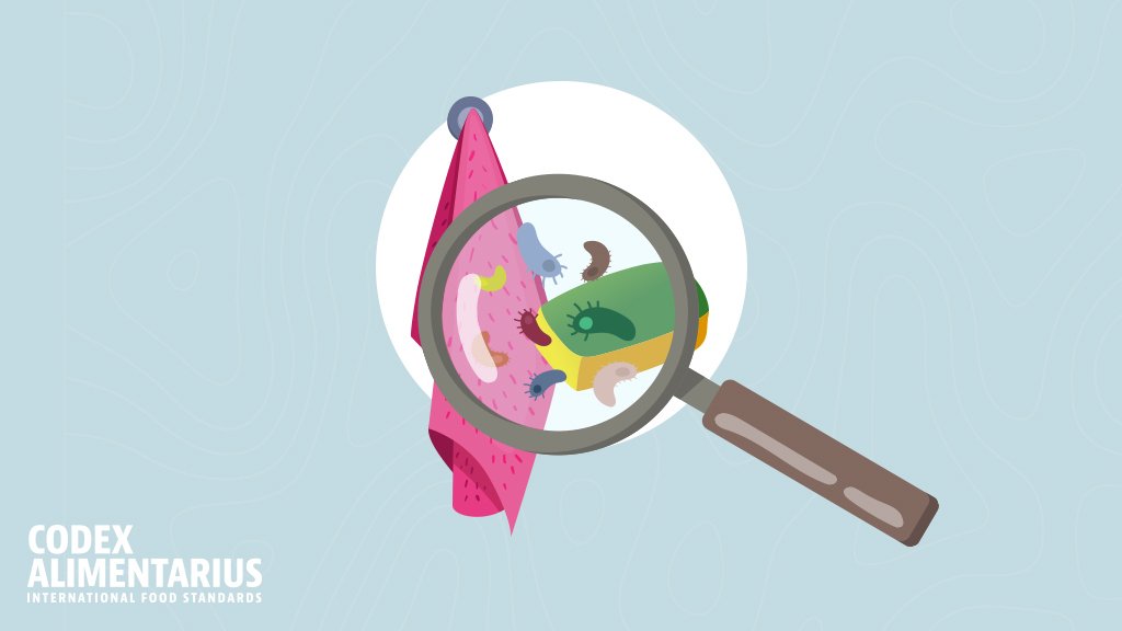 🤓 | Practice #FoodSafety every day❗️

Sponges and dishcloths can be some of the dirtiest tools in the kitchen as they can hold harmful foodborne pathogens that can make you sick.

🧽🦠🔍🤒