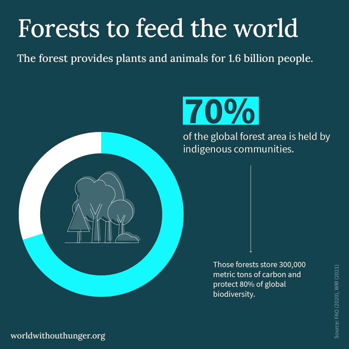 food4transform's tweet photo. 👆Did you know: #Indigenous communities safeguard 7️⃣0️⃣% of the world's #Forests and 8️⃣0️⃣% of its #Biodiversity. These forests feed 1.6 billion people.

Protecting indigenous #LandRights🛡 means protecting our #FoodSystems🌿. #OneWorldNoHunger is #BetterWithForests #SDG15 https://t.co/PhwR9p21RY