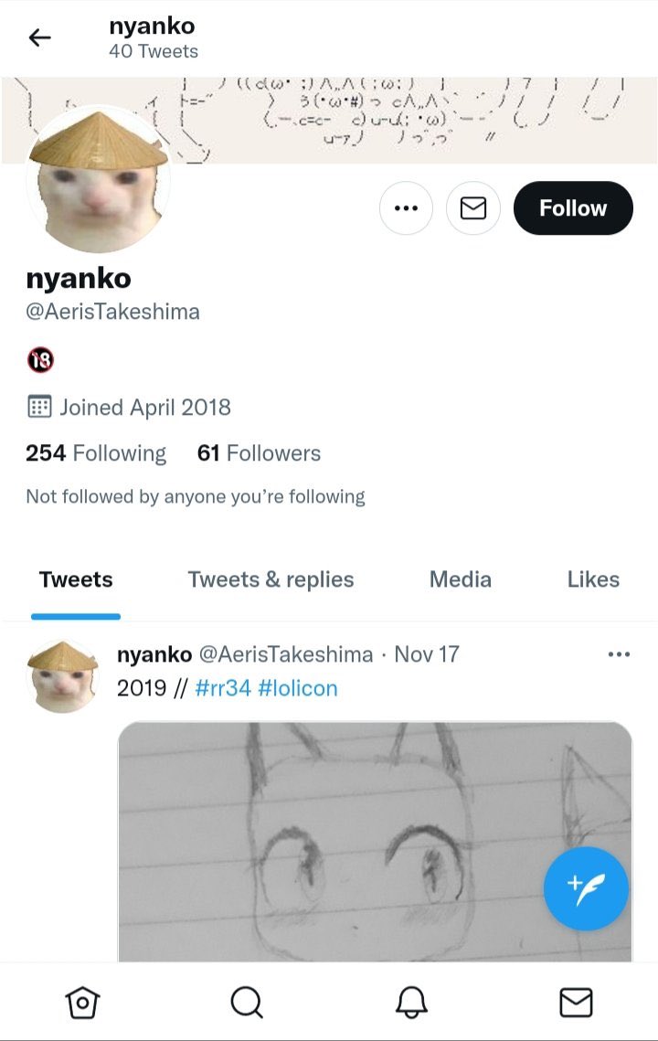 🚔🚨THE RR34 POLICE🚨🚔 tweet media