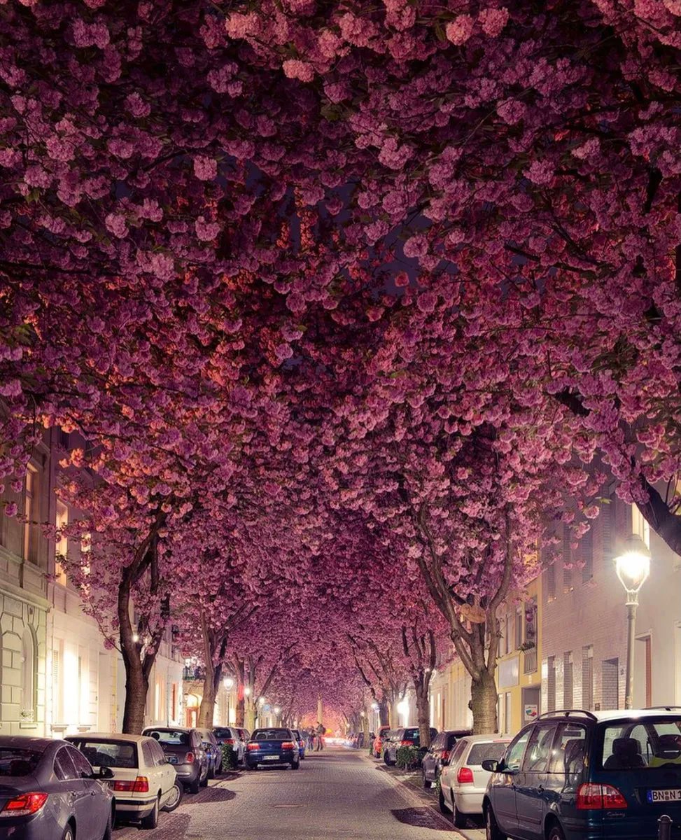 The Beautiful Globe tweet media