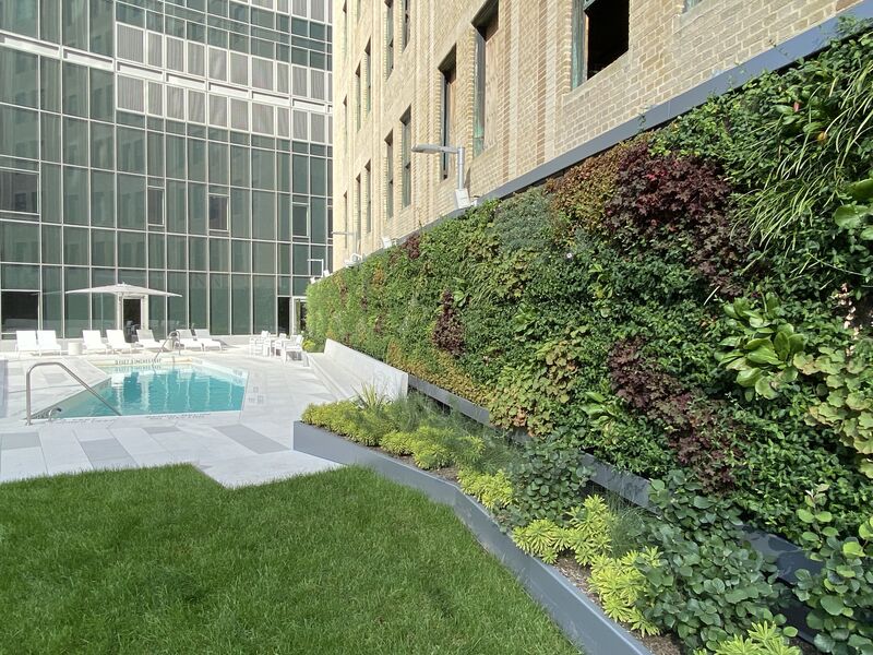 Nature fits with any kind of architecture! This 70m² vertical garden adds a flourish to the new rooftop terrace between the newbuild Sven tower and NYC's historic Queens Clock Tower. Read more here: sempergreenwall.com/projects/sven-… #verticalgarden #longisland