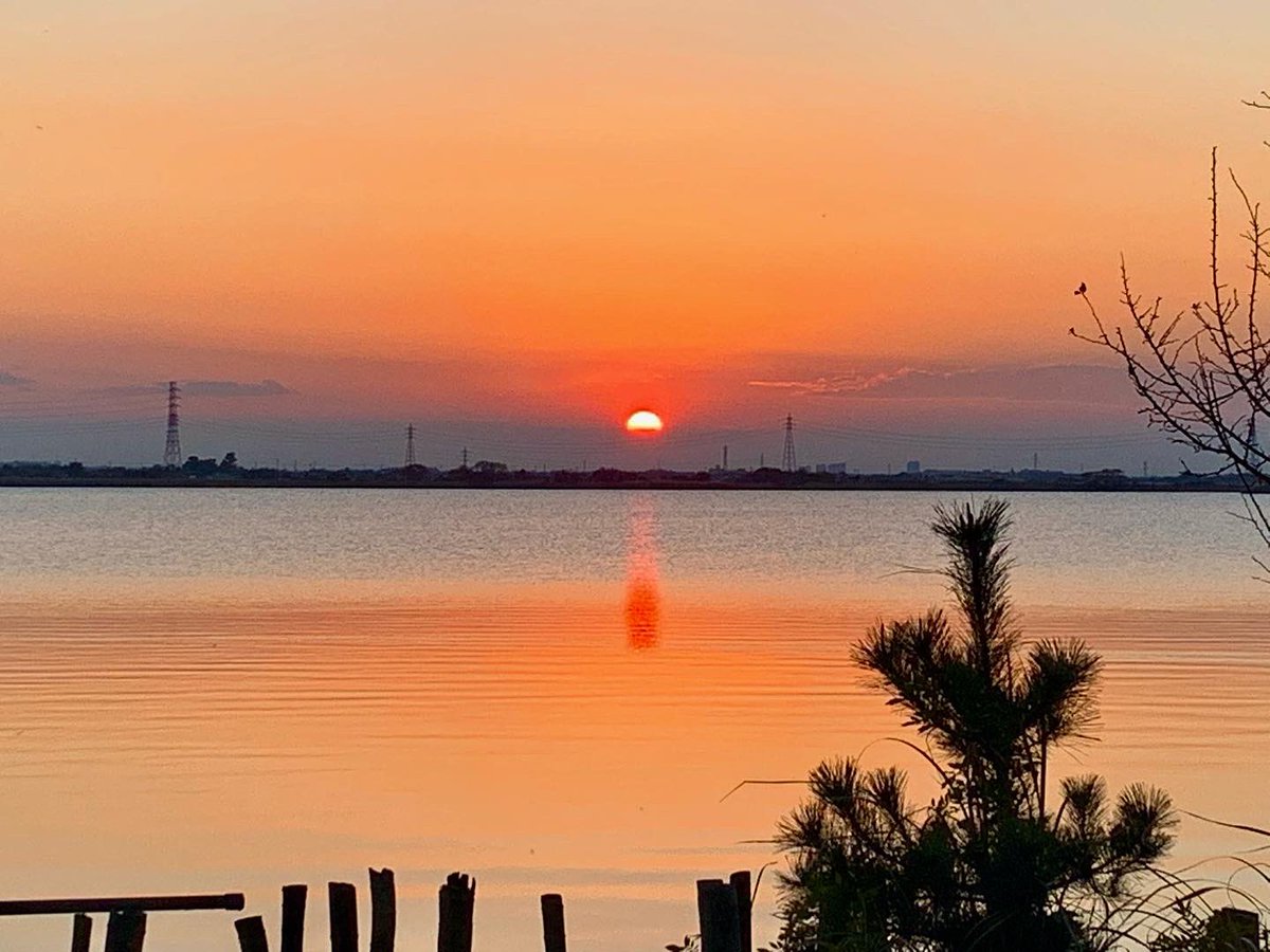 DAISUKEキャンプ大好き△ tweet media