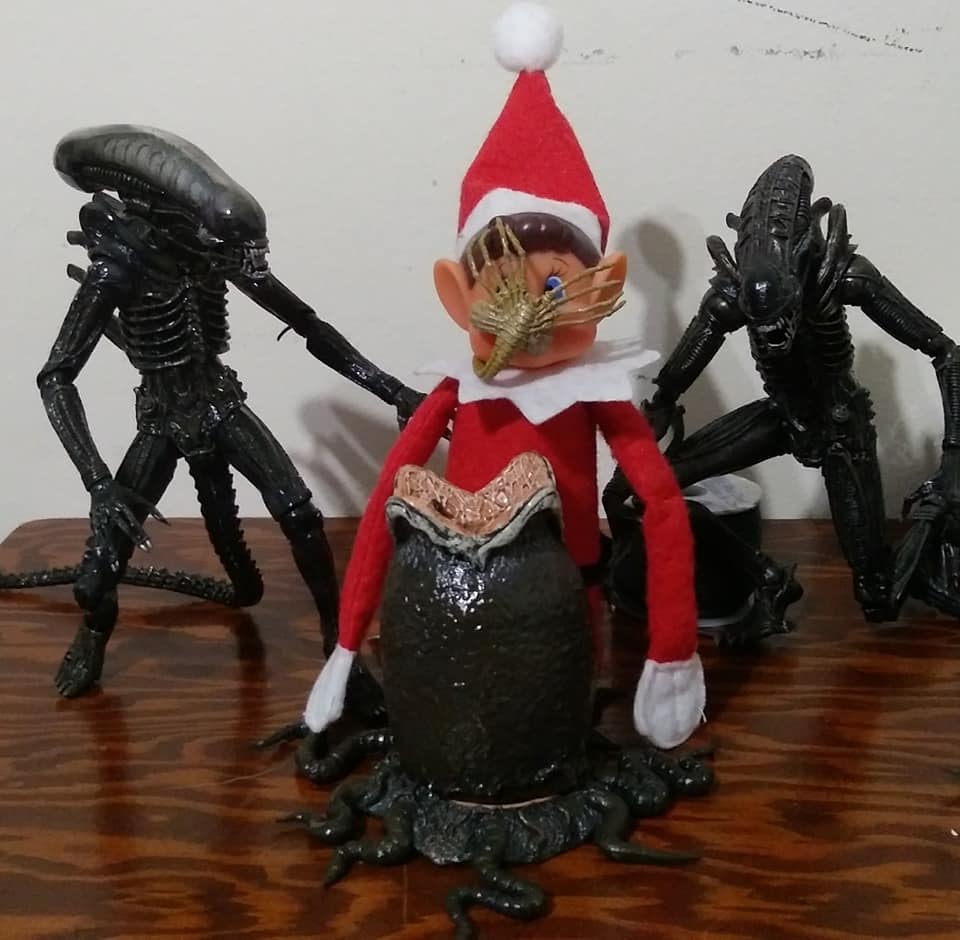 JACKACK7's tweet photo. The Elf on MY Shelf! #ElfOnTheShelf #HorrorMovies #Funny #JackAckman https://t.co/J9qjYfk8JD