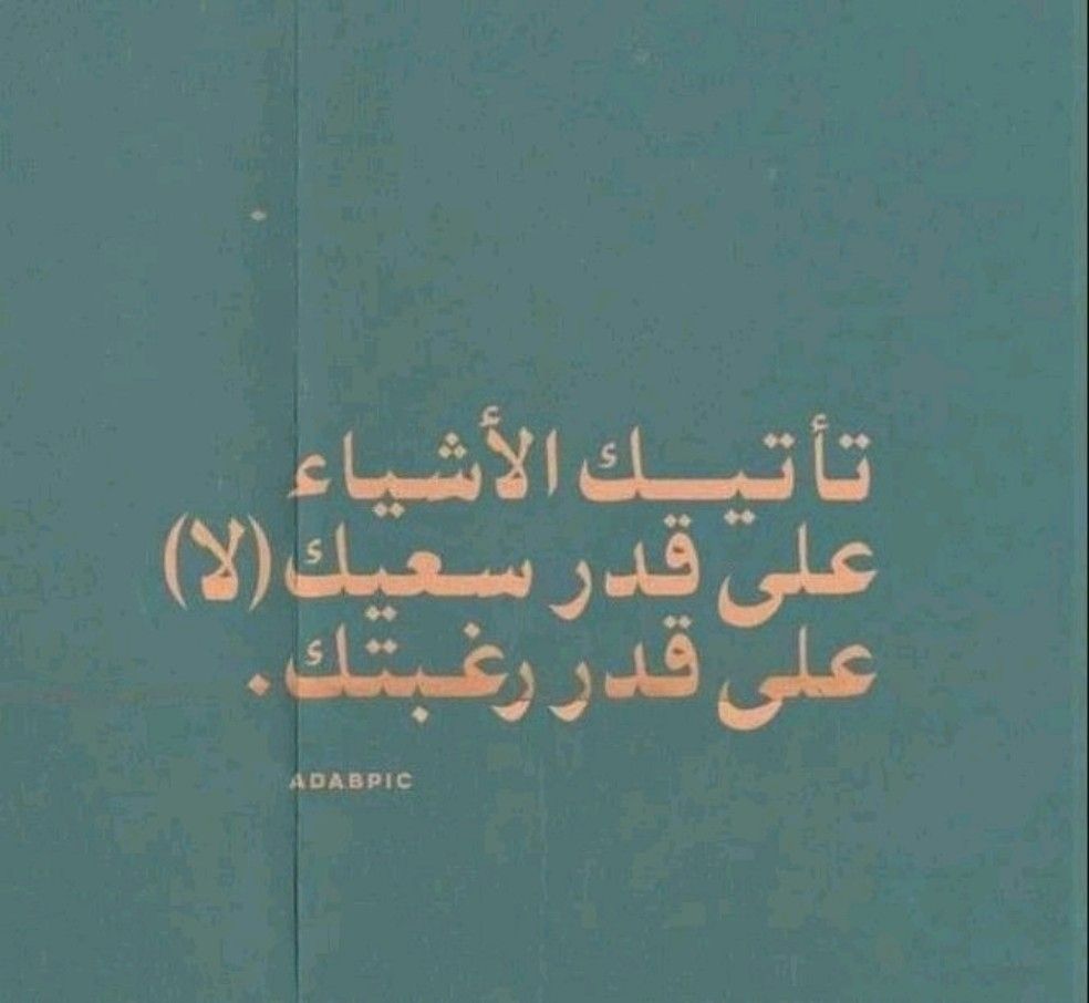 Muhamad Saleh 🔻✪🔻 tweet media