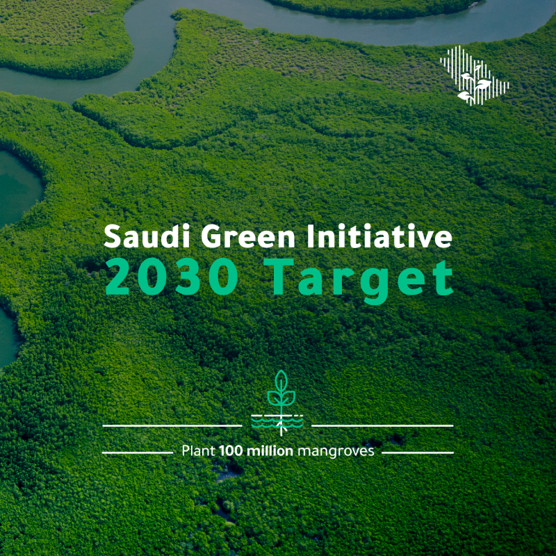 SGISaudi's tweet photo. Mangrove forests—a massive opportunity for the health of land and sea.

Under the #SaudiGreenInitiative, 100 million mangroves are targeted to be planted by 2030, representing a carbon offset of ~96 million tons and an effort to stabilize coastline ecosystems.