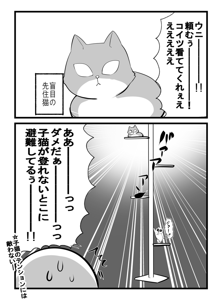 生後二か月 