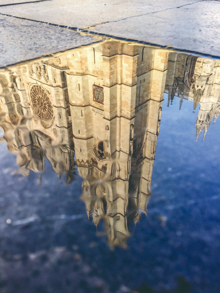 RevCatedralLeon's tweet photo. Como ayer no pudimos, hoy os regalamos dos imágenes del "Otro Punto de Vista" que @focusleon
presentó en el 7º número de la revista, disponible en
https://t.co/6IoahkwBcg
#Turismo #España #Catedral #León #Fotografía #Historia #Arte https://t.co/m8Bmgvw00u