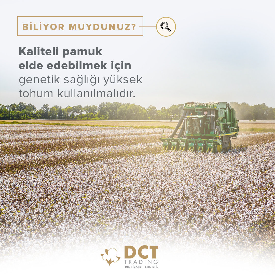DctTrading's tweet photo. Pamukta yüksek verim elde edebilmenin ilk kuralı, iyi bir pamuk tohumu kullanmaktır.

#pamuk https://t.co/DmtVNUkEHi