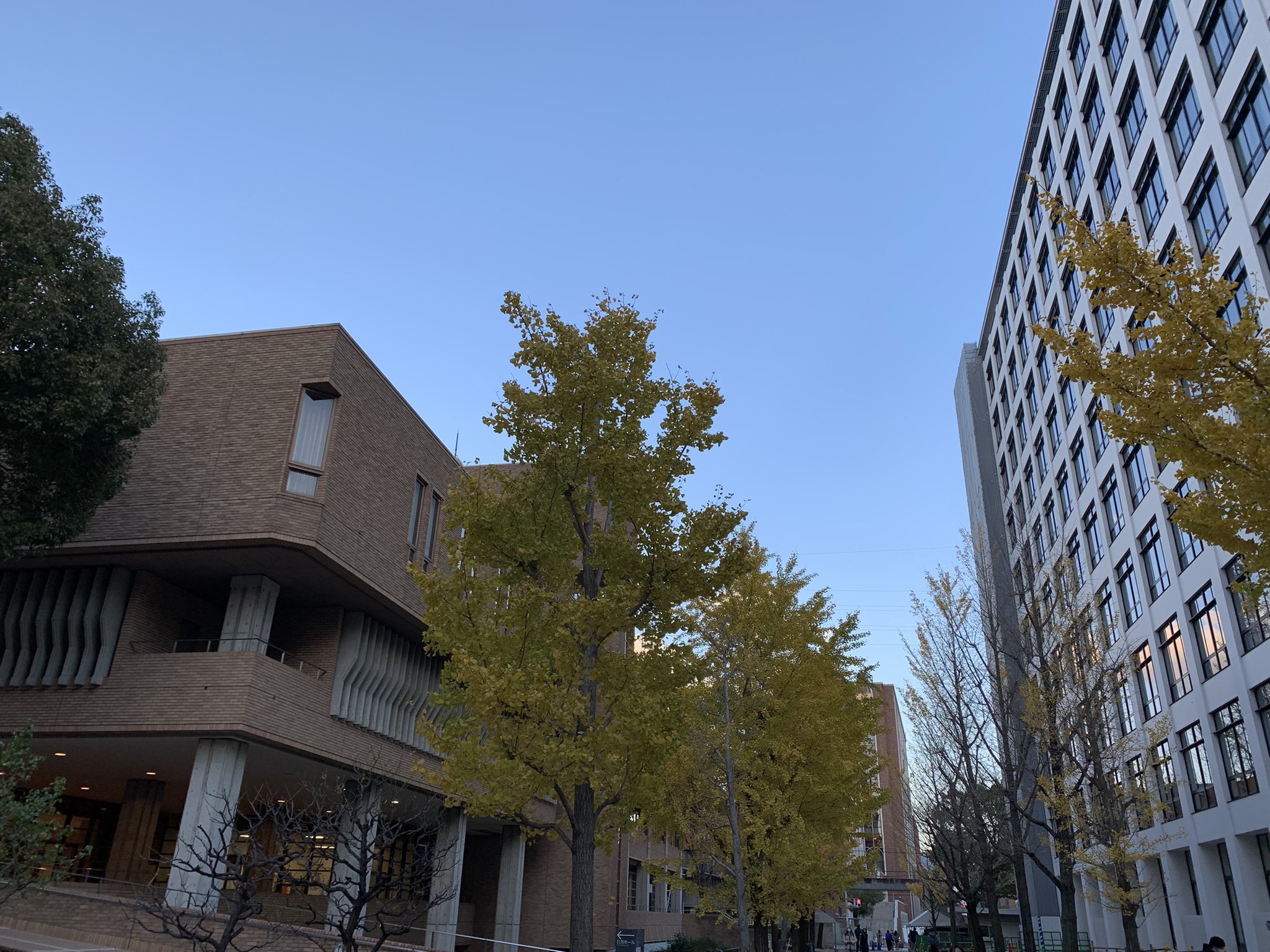 Tweets With Replies By 夕陽丘予備校 公式 Yuhigaokayobi Twitter