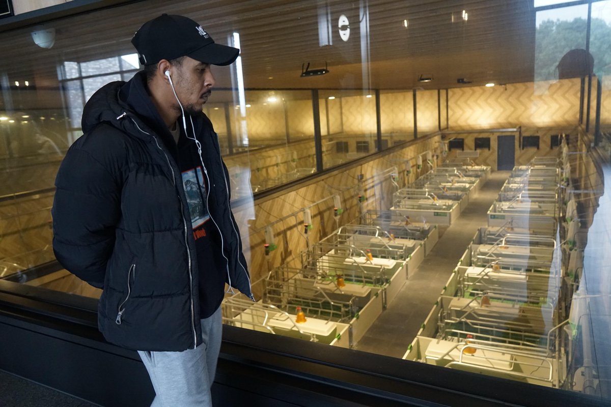 On November 19th, more than 40 students from Zhejiang Normal University International Innovation and Entrepreneurship Training Camp went to Jinhua Panda Pig Two-End Black International Ranch to held the research activities.