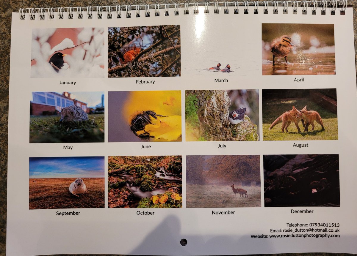 PaulDutton19's tweet photo. Short of a Christmas present? Why not buy a wall calendar for 2022 photographed and produced by the highly talented @RosieDutton2 Visit the website at https://t.co/R4lGWxEXOx https://t.co/0HHIyQao8K