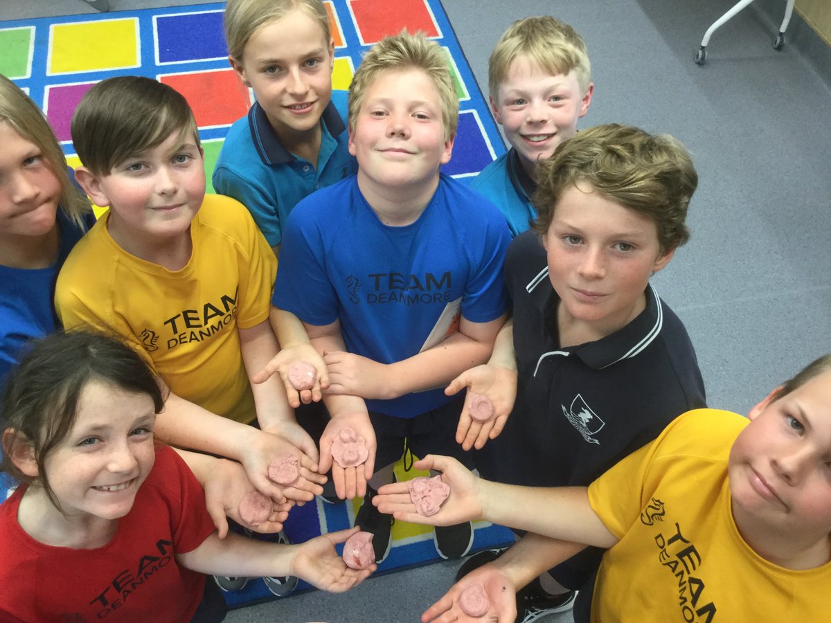 EarthScienceWA's tweet image. How many fossils can you make in a day? Lots with the help of awesome Yr 3-5 students at Deanmore PS where we've spent a great couple of days! We also investigated lava viscosity with Yr 5 &amp;amp; 6's! Thanks to #WACoreOperations supporters ausearthed.com.au/wa/supporters/ #earthsciencerocks