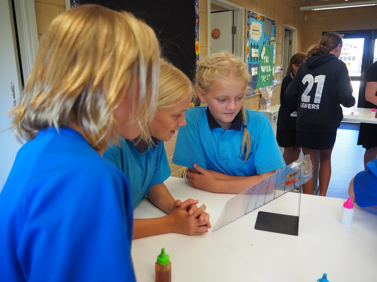 EarthScienceWA's tweet image. How many fossils can you make in a day? Lots with the help of awesome Yr 3-5 students at Deanmore PS where we've spent a great couple of days! We also investigated lava viscosity with Yr 5 &amp;amp; 6's! Thanks to #WACoreOperations supporters ausearthed.com.au/wa/supporters/ #earthsciencerocks