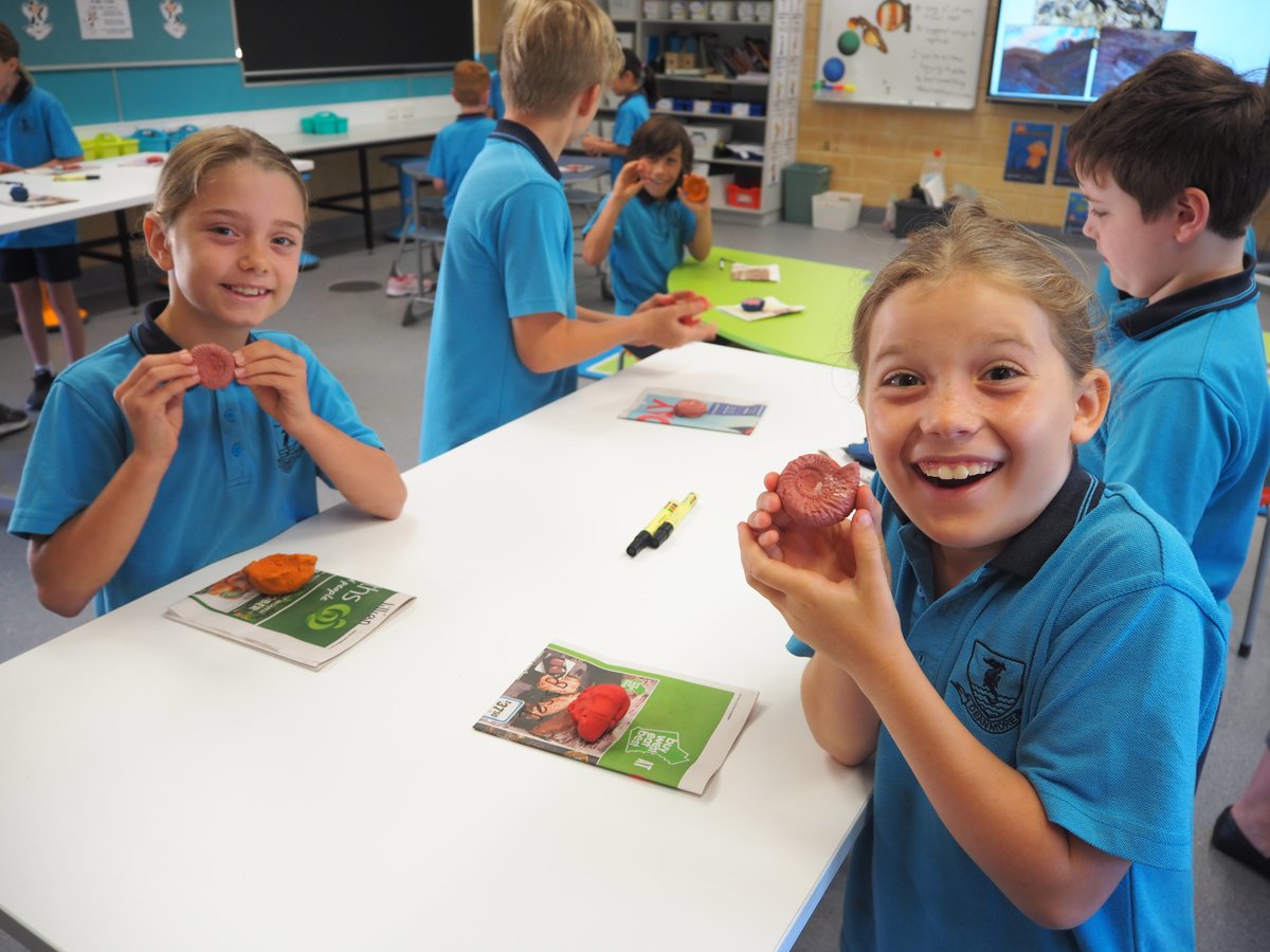 EarthScienceWA's tweet image. How many fossils can you make in a day? Lots with the help of awesome Yr 3-5 students at Deanmore PS where we've spent a great couple of days! We also investigated lava viscosity with Yr 5 &amp;amp; 6's! Thanks to #WACoreOperations supporters ausearthed.com.au/wa/supporters/ #earthsciencerocks