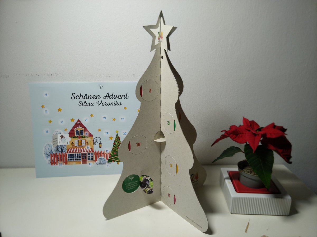 PaperTrailsIS's tweet photo. Check out my #awesome #paper advent calendars (#yes, I have two...)! #December1st #AdventCalendar #poinsetta (#Weihnachtsstern) https://t.co/TWB33cwoBj