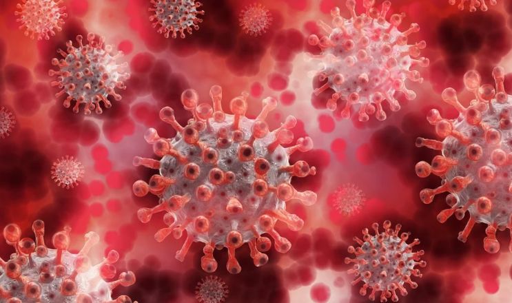 Covid инфекции. Корновии. Клинические проявления коронавирусной инфекции. Covid инфекции. Клинические рекомендации по коронавирусной инфекции.