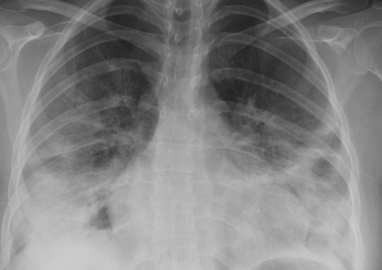 Prof. Dr. Cenk KIRAKLI 🩺 tweet media