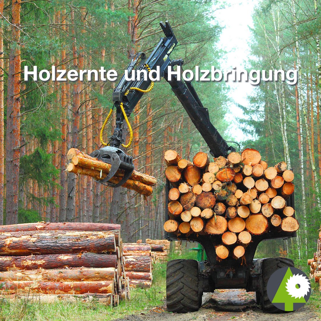 🌳🚜 Besser, schneller, effizienter: In der #Holzernte sind große und extrem leistungsstarke Forstmaschinen gefragt. Die #INTERFORST 2022 verschafft euch einen Überblick über die neuesten Innovationen. Mehr Informationen findet ihr hier: bit.ly/Aussteller_Hol…