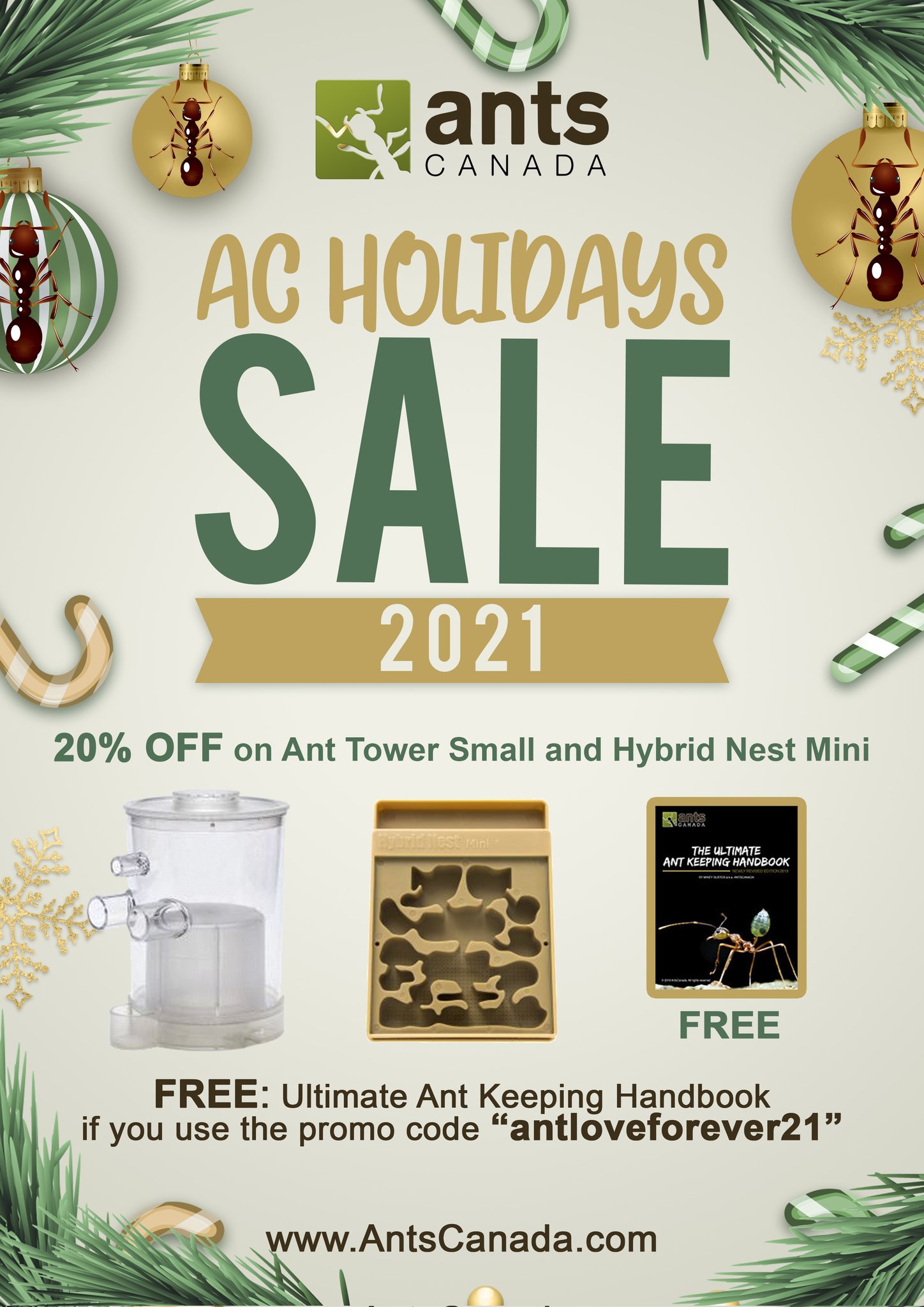 AntsCanada on Twitter: