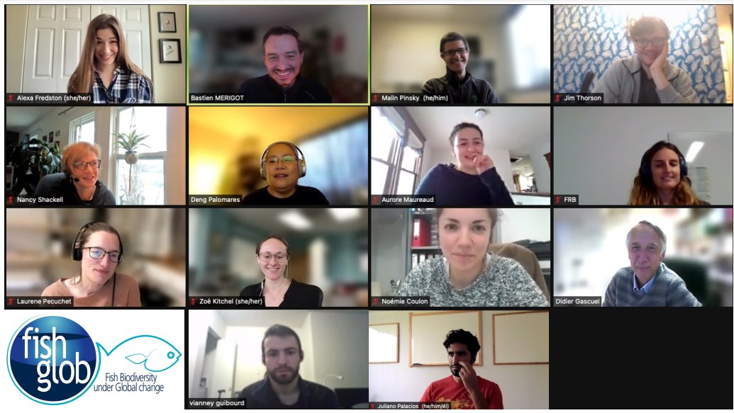 FRBiodiv's tweet photo. The #CESAB FISHGLOB project, funded by @FRBiodiv @CIEEICEE & @franceaucanada, had its 4th meeting to discuss on-going research analyses performed by the group dealing with #fishcommunity changes under #globalchange ๐๐ก๐
More info on the project โก๏ธhttps://t.co/DOfZnU0t0Y https://t.co/jde2XWH32Z