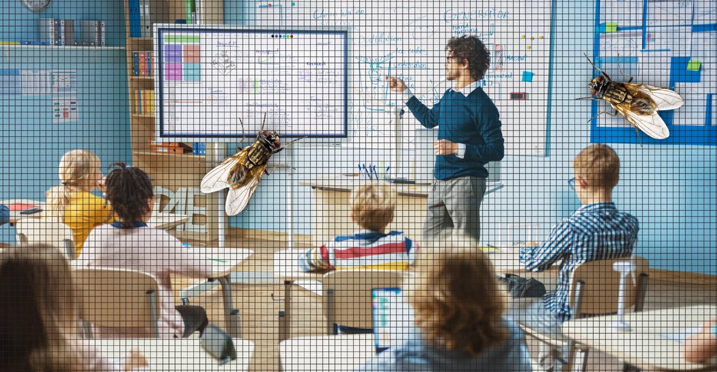 Ventileren als basismaatregel, ook op uw school? Unilux levert maatwerk insectenwering oplossingen aan scholen en opleidingsinstituten om hen te helpen aan een gezonde, fris geventileerde omgeving voor hun scholieren. Zonder vliegende insecten die de les verstoren! #uniluxhorren