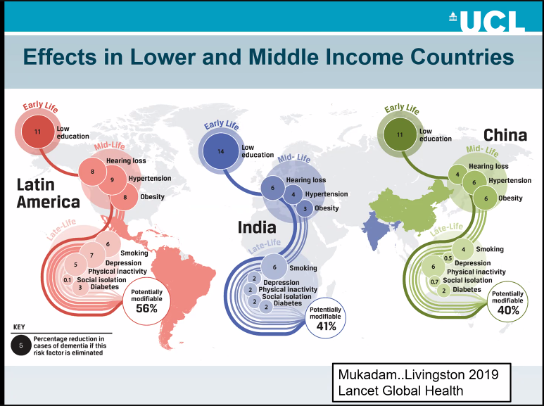 MaTeFerretti's tweet photo. #31AEC fascinating the diagram of modifiable #Alzheimer risk factors adapted by geography. Fantastic talk by @Gill_Livingston https://t.co/BoNdhmv5CM